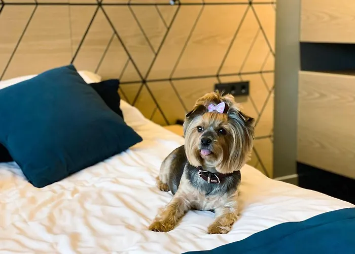 Hotel Kalev & Waterpark